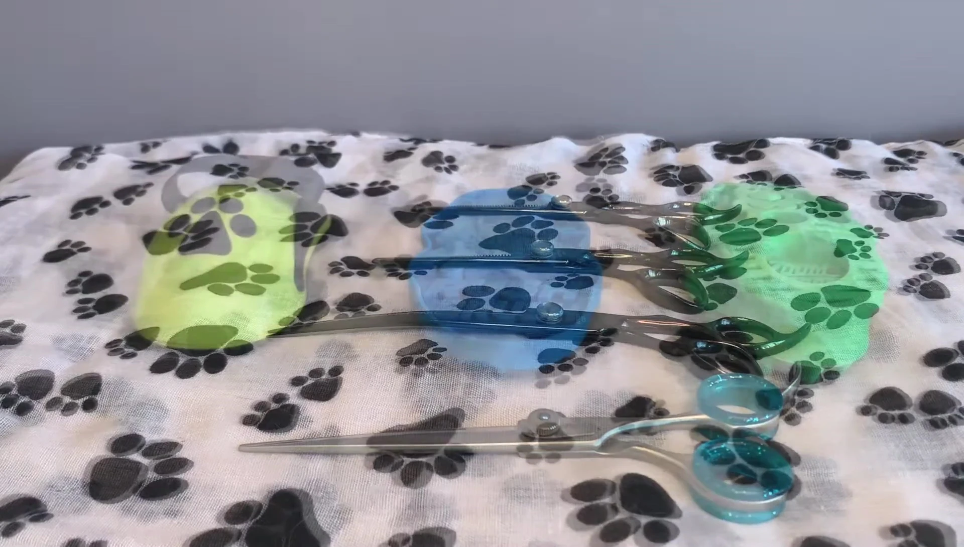 Rubber curry combs