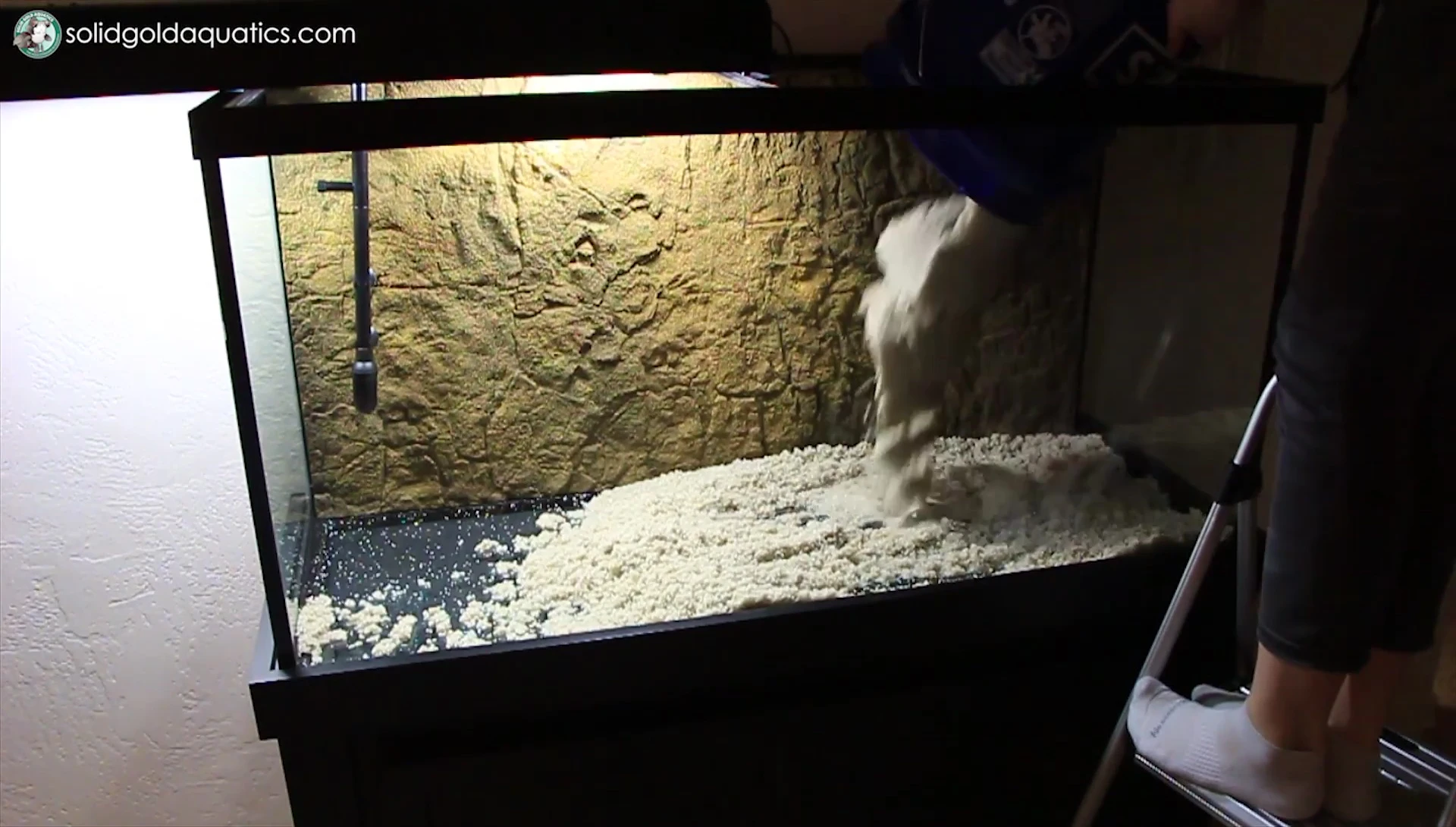 Shallow layer of sand in the aquarium.