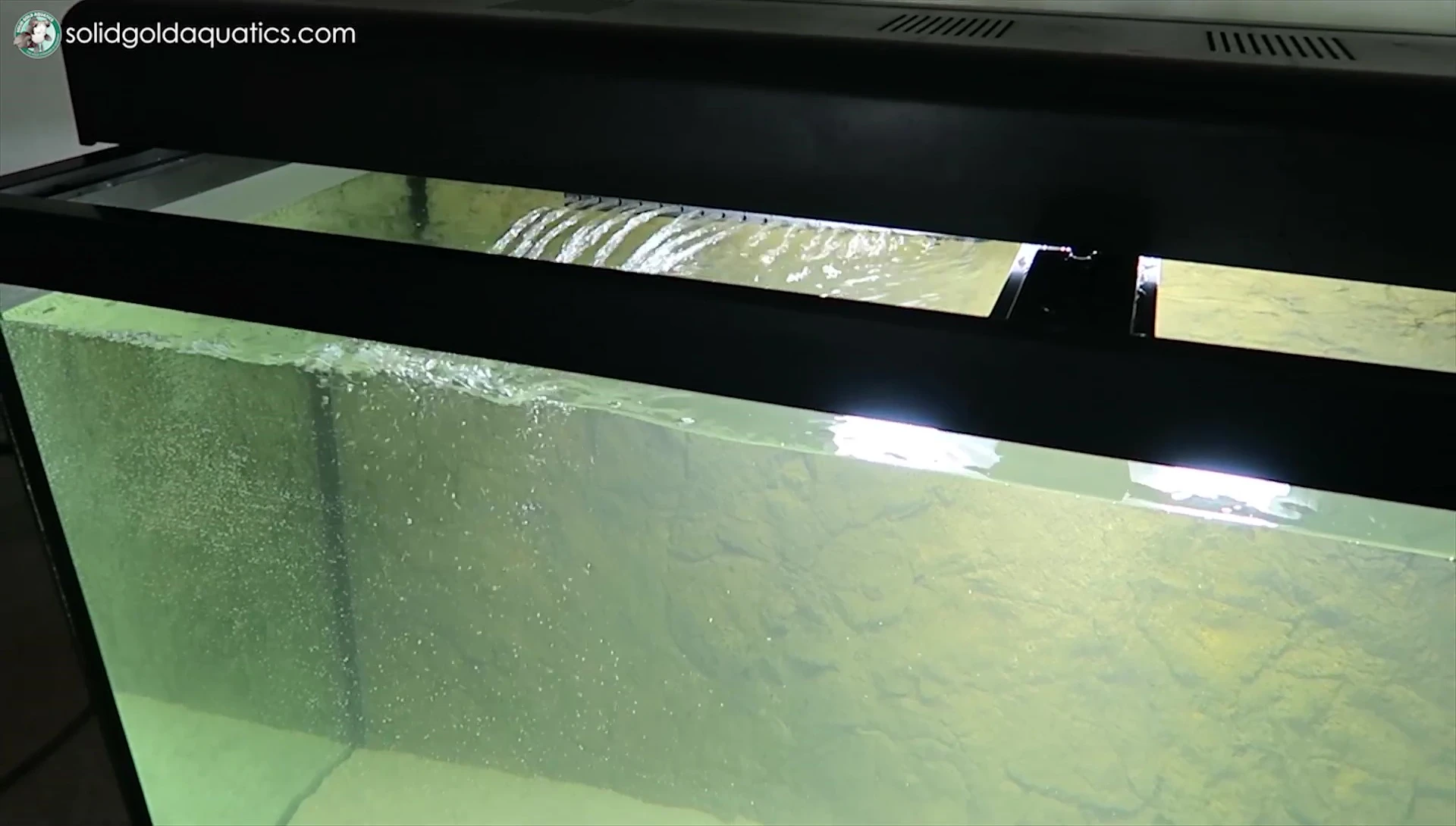 Canister filter with UV light.