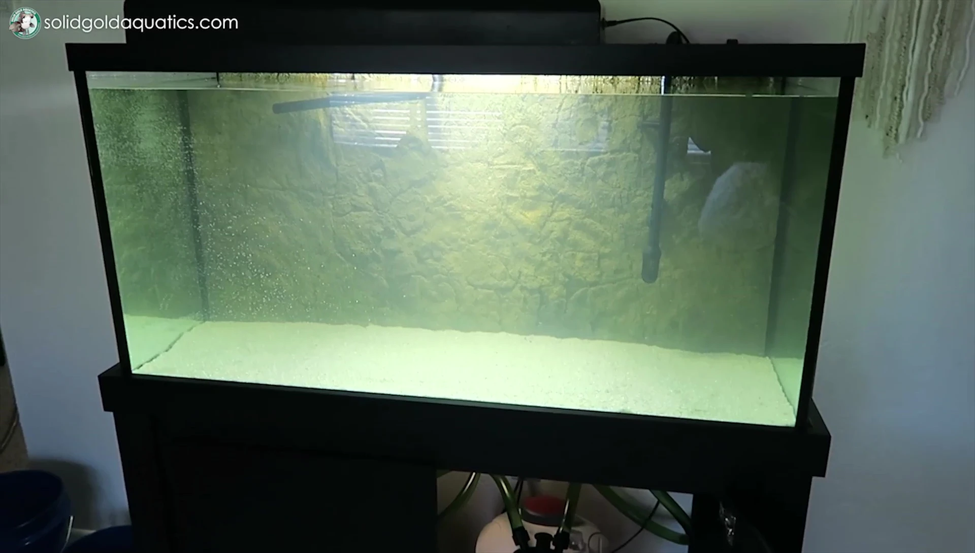 Two small heaters in the tank