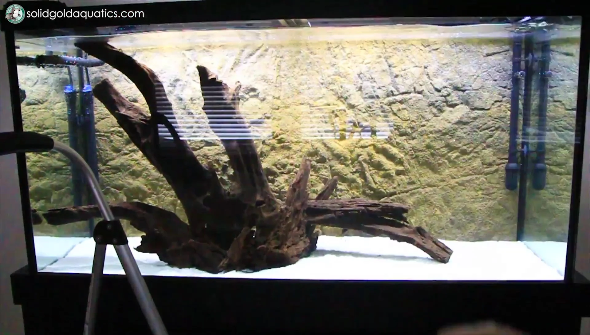 Arranging the Driftwood.