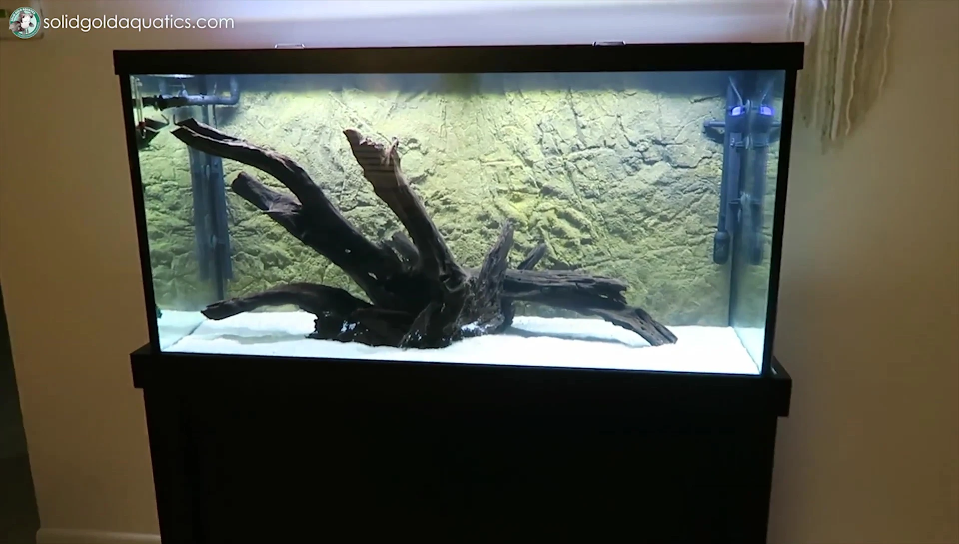 The completed 90-gallon aquarium.