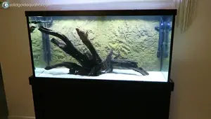 90-Gallon Aquarium Setup: Hardscape, Filtration, and Mystery Fish!
