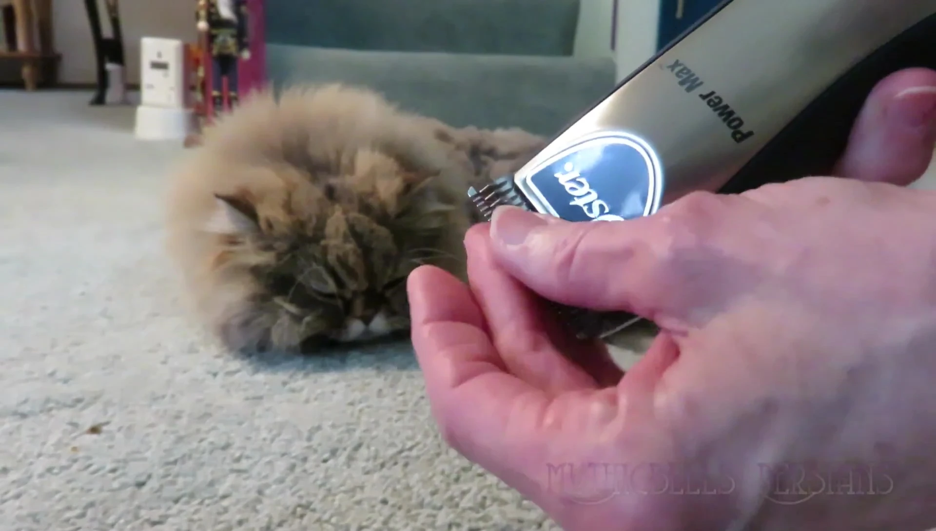 Highlighting the adjustable lever on the Wahl Bravura clipper.