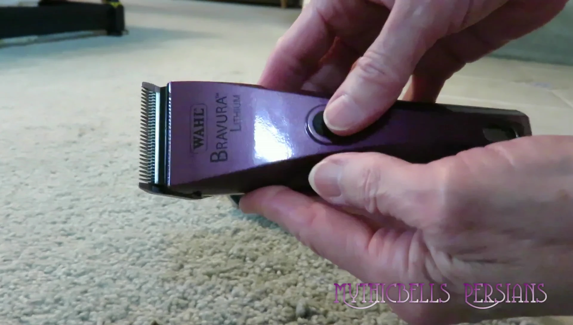 Close-up of the Wahl Bravura's adjustable blade mechanism.