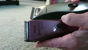 Oster Power Max vs. Wahl Bravura: A Detailed Comparison for Pet Grooming