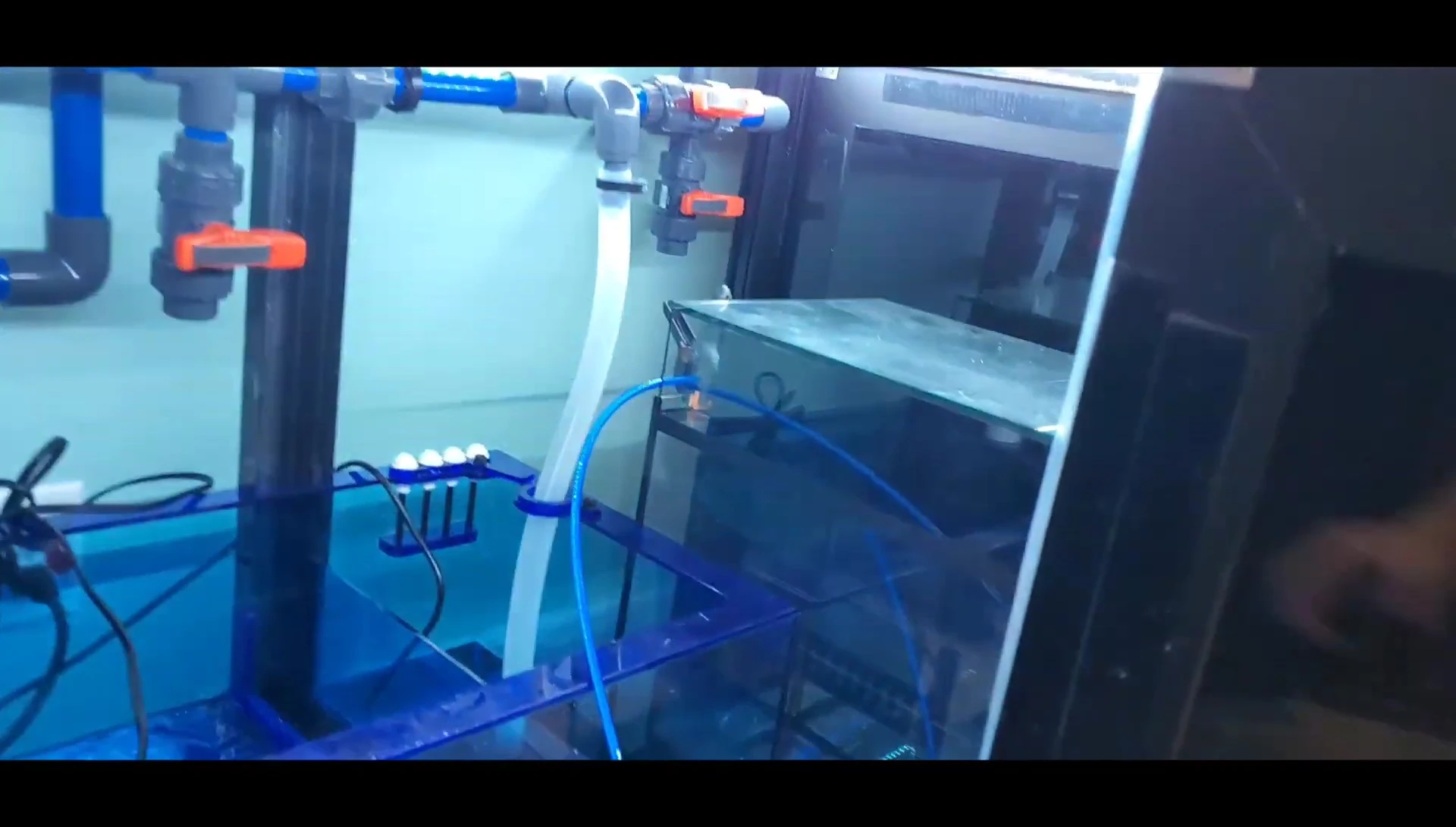 Filling the auto top-off container
