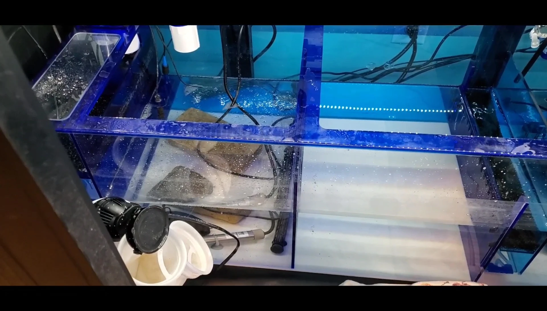 Organic matter in sump