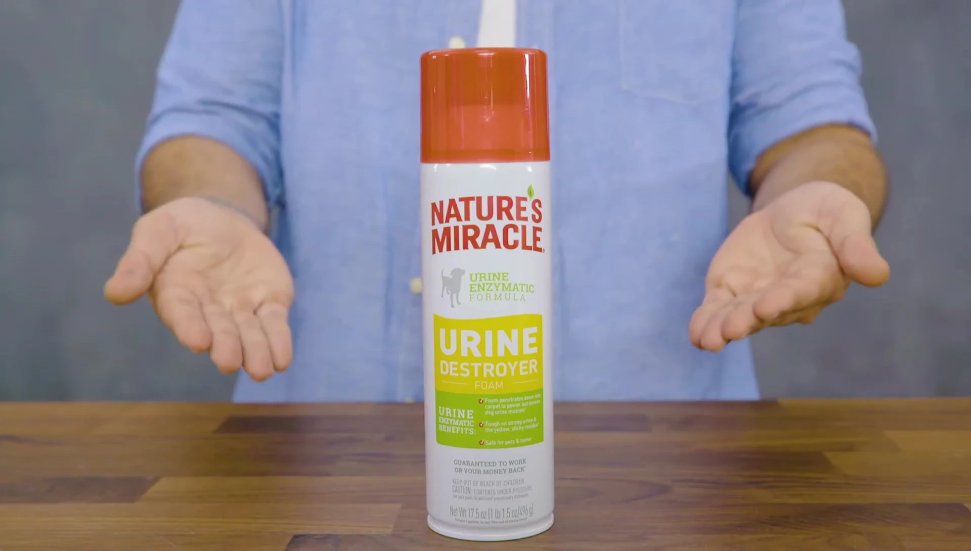Visual demonstration of the product's effectiveness on urine stains
