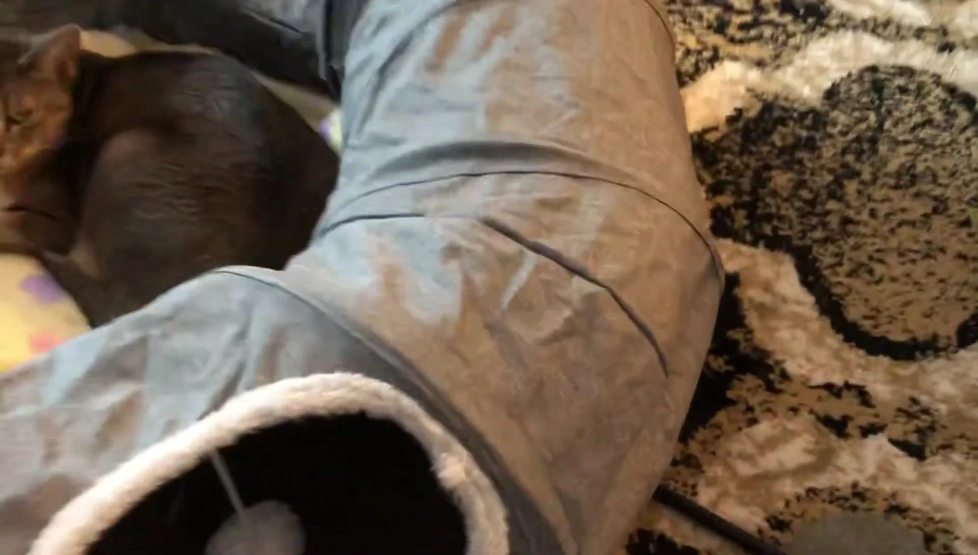 Close-up shot showing the texture of the tunnel material