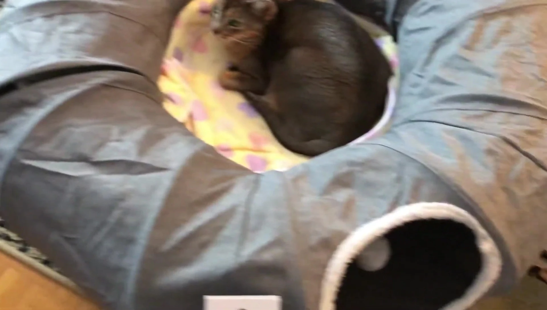 Comparison of the tunnel material with another