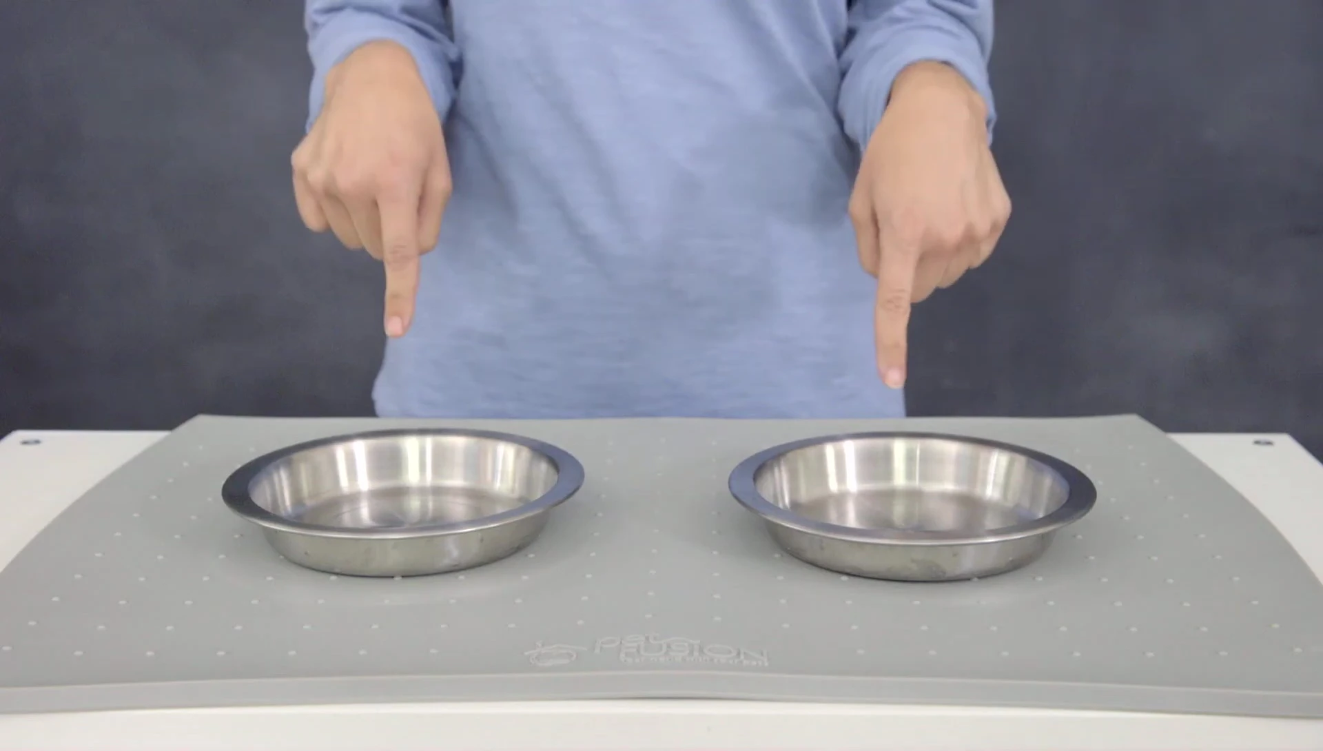PetFusion Premium Cat Food Bowl