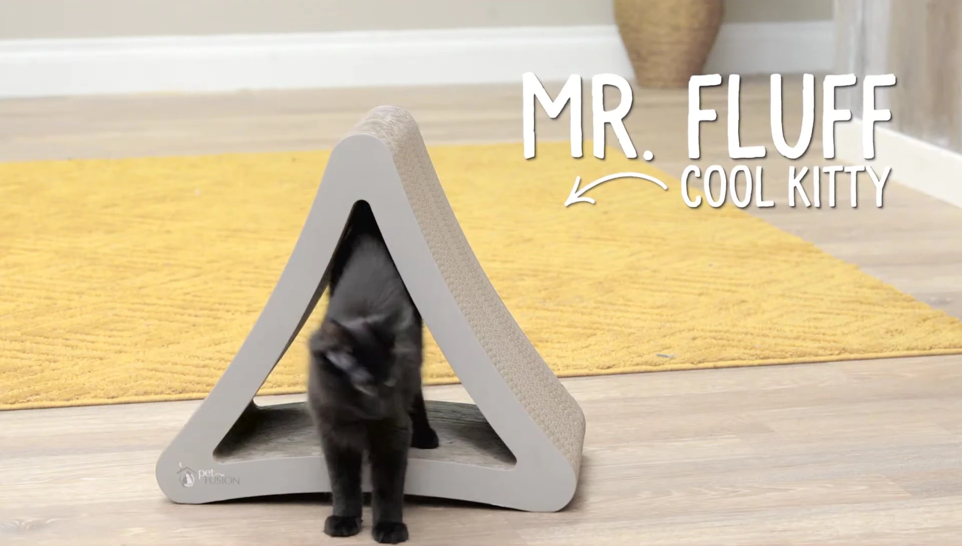 The Ultimate Cat Scratcher Lounge