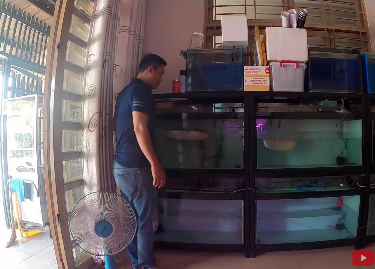 A shot showcasing the new and improved aquarium space.