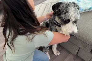 Satellite Smart GPS Dog Collar Review: Peace of Mind for Your Adventurous Pup