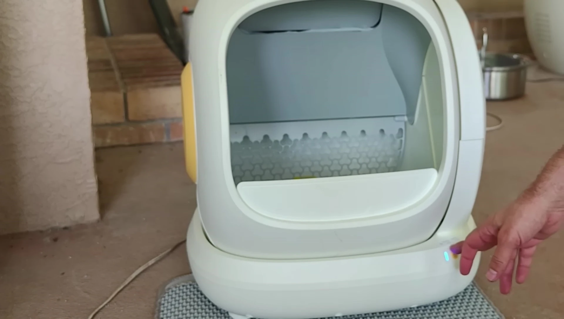 Person summarizing the simplicity of the litter box