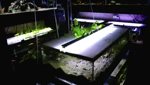 Fish Tank Supplies: 13 Home Improvement Store Finds!