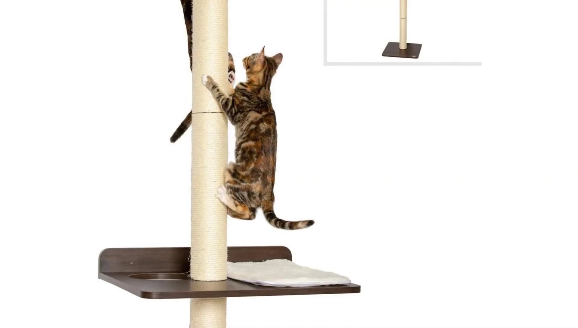The Pet Fusion Wall Mounted Cat Scratching Post.