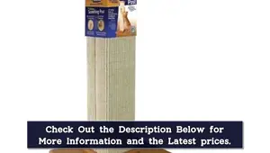 Top 5 Best Cat Scratching Posts 2024: Reviews & Buying Guide