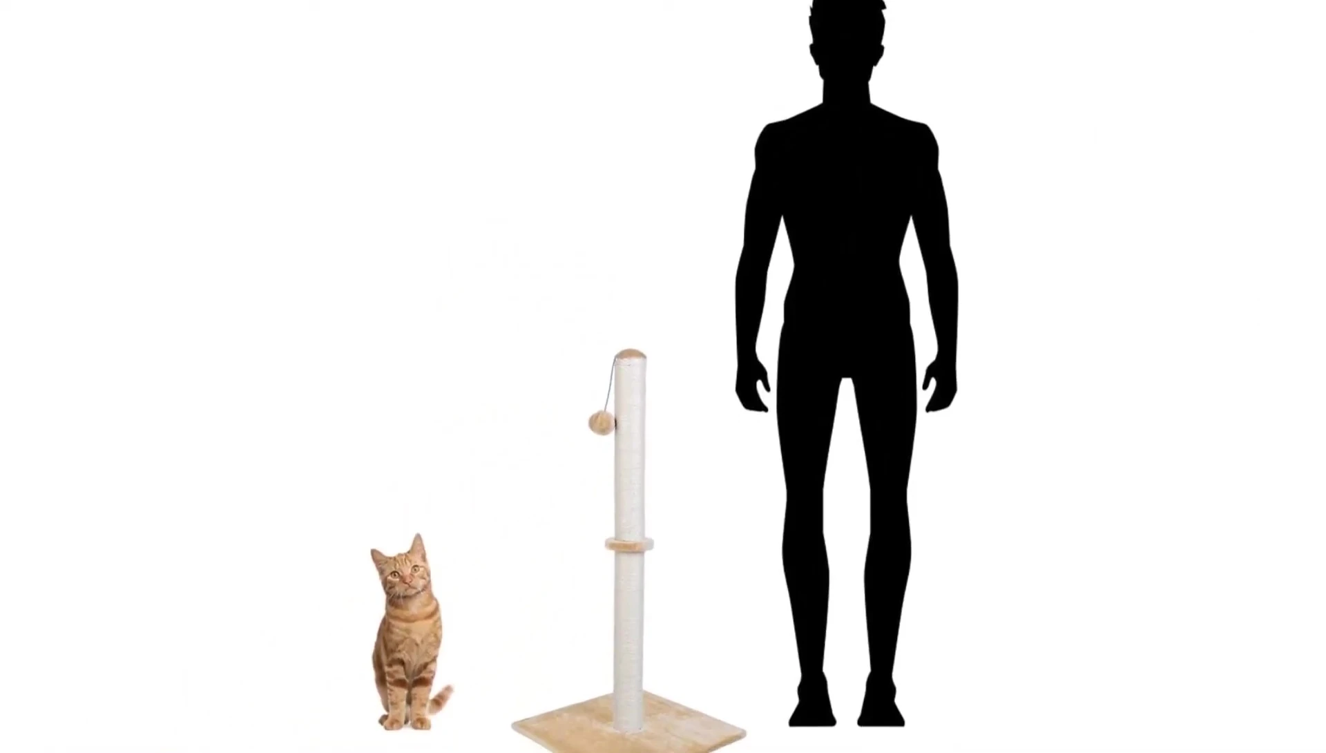 Cat interacting with the top of the Dimmaker scratching post.