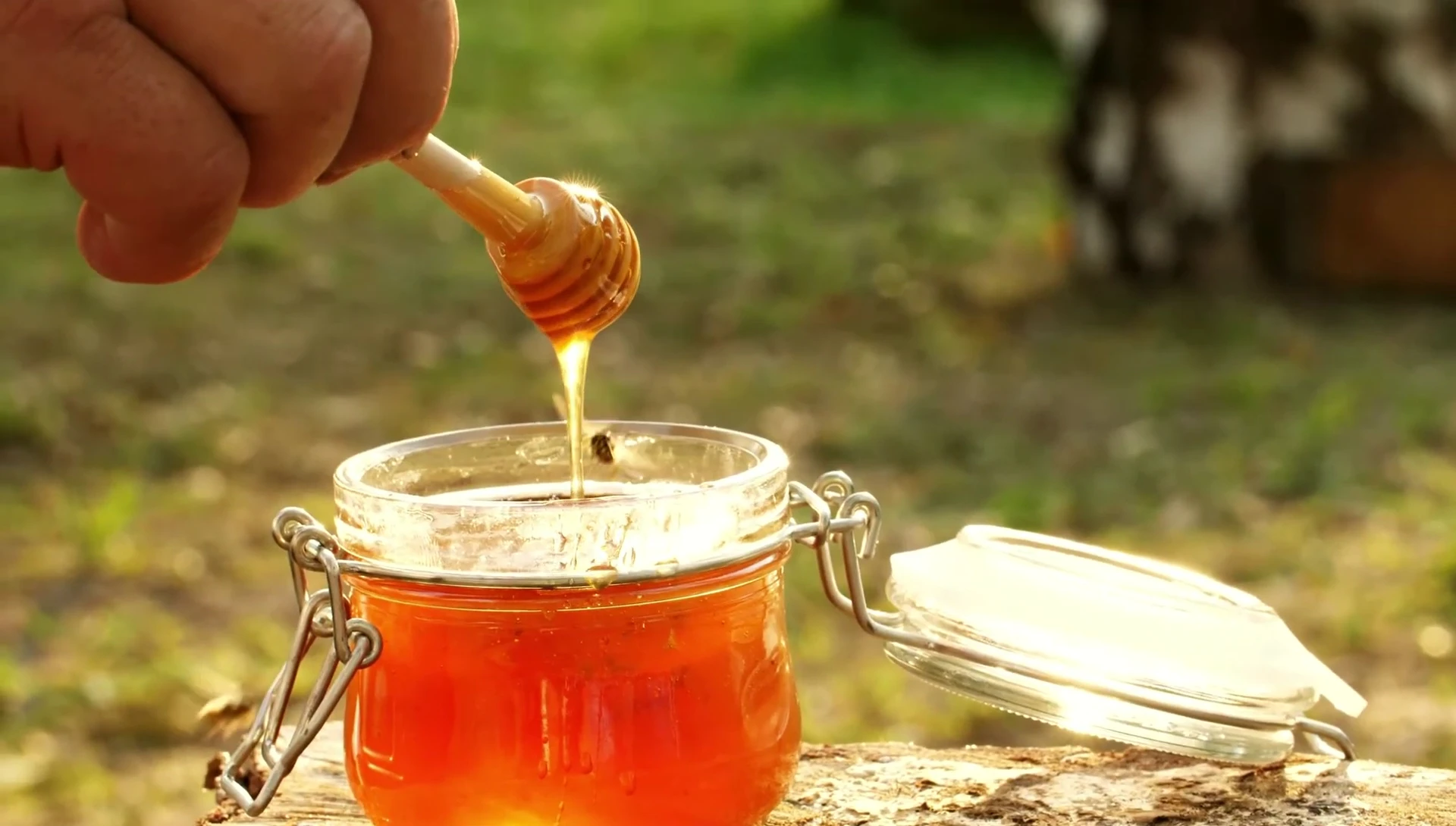 Ingredients list highlighting oatmeal, honey, and beeswax