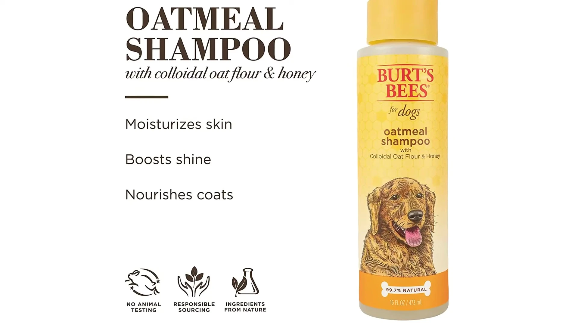 Vet's Best Hypoallergenic Shampoo bottle