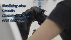 Best Flea Shampoos for Sensitive Dogs: Top 9 Reviews