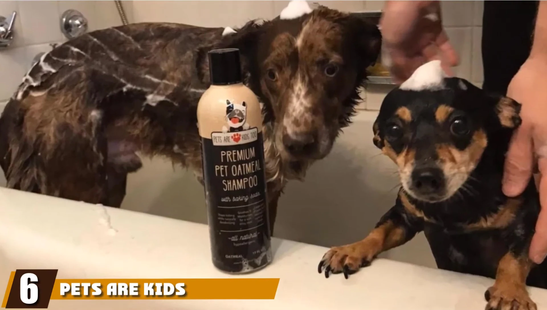 Pet's Our Kids Do Premium Oatmeal Pet Shampoo bottle