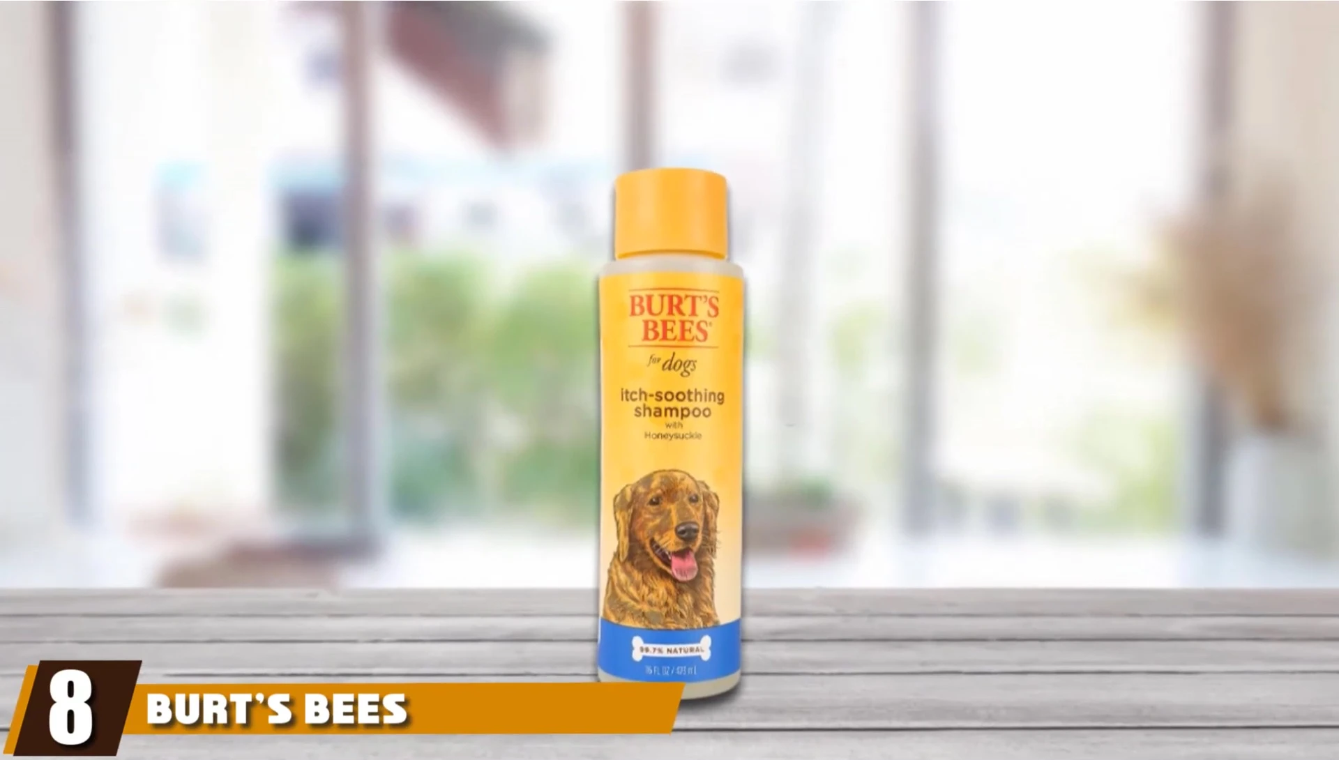 Burt's Bees Oatmeal Dog Shampoo bottle