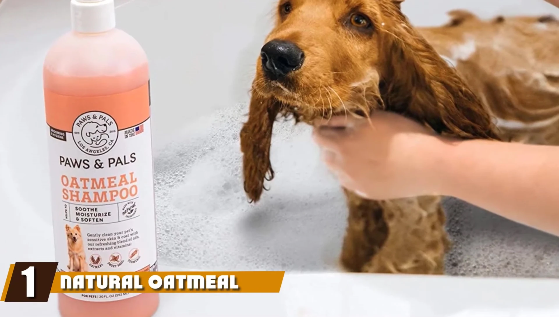 Natural Oatmeal Dog Shampoo bottle