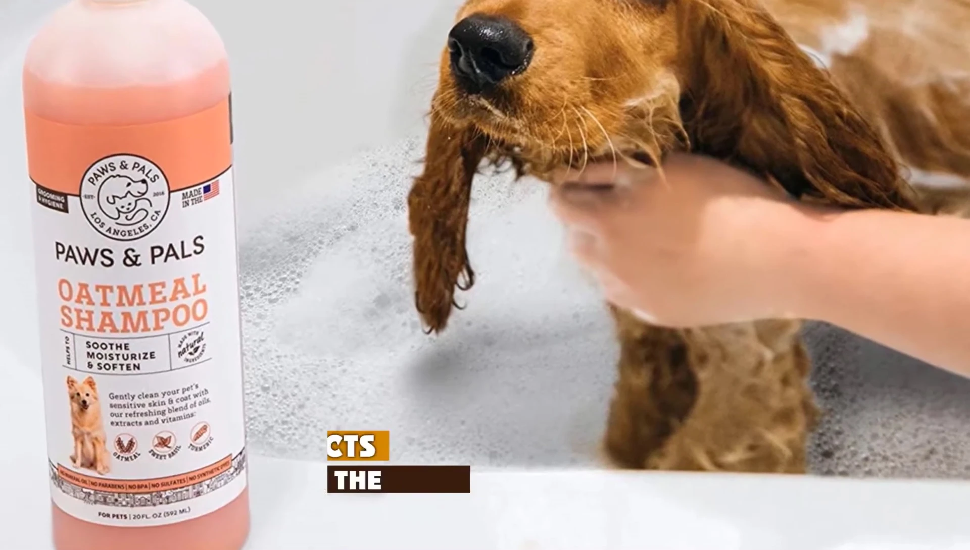 Close-up of the shampoo's ingredients