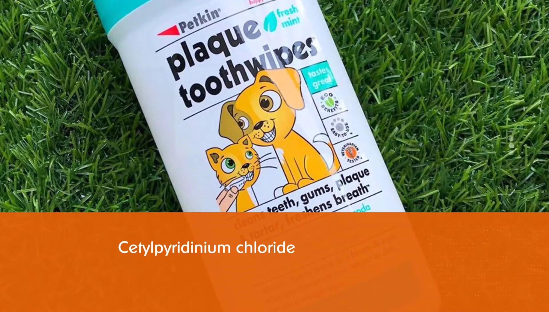 Someone using a Petkin wipe to clean a dog's teeth.