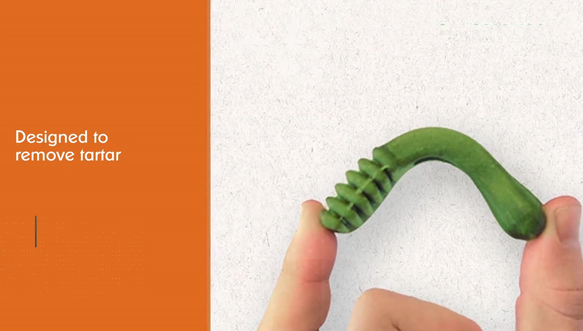 Close-up of a dog happily chewing on a Greenie.