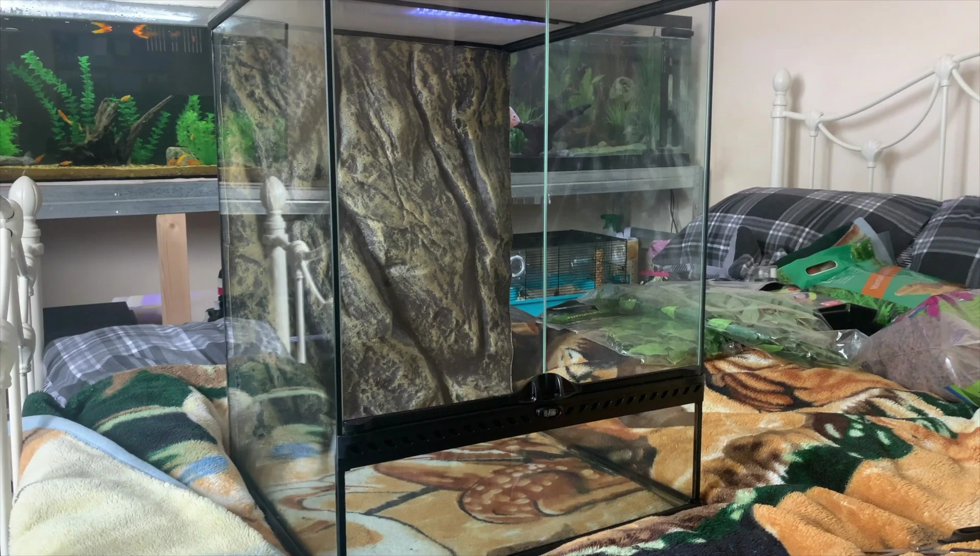 The new vivarium with its new background.