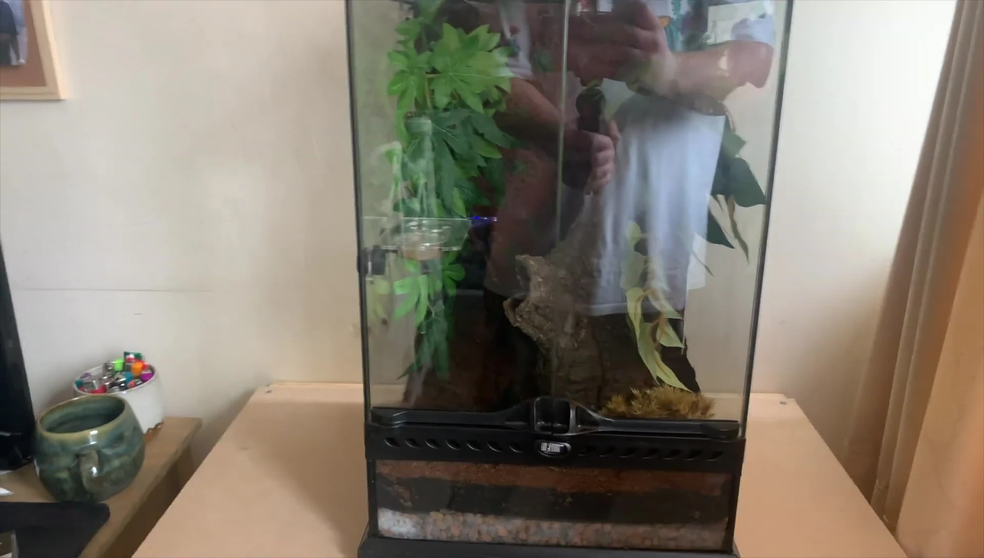 Randall's current 12x12x18 inch vivarium.