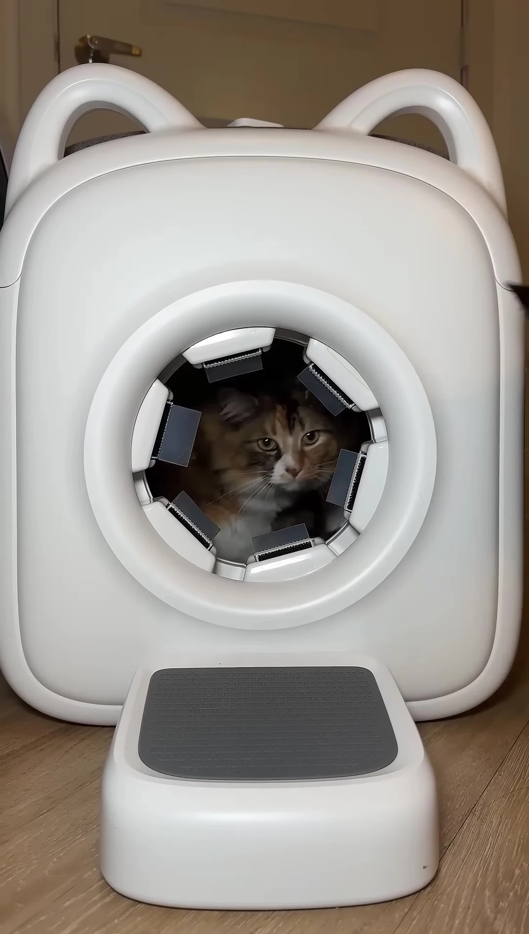 The reviewer smiling, satisfied with the product's performance.