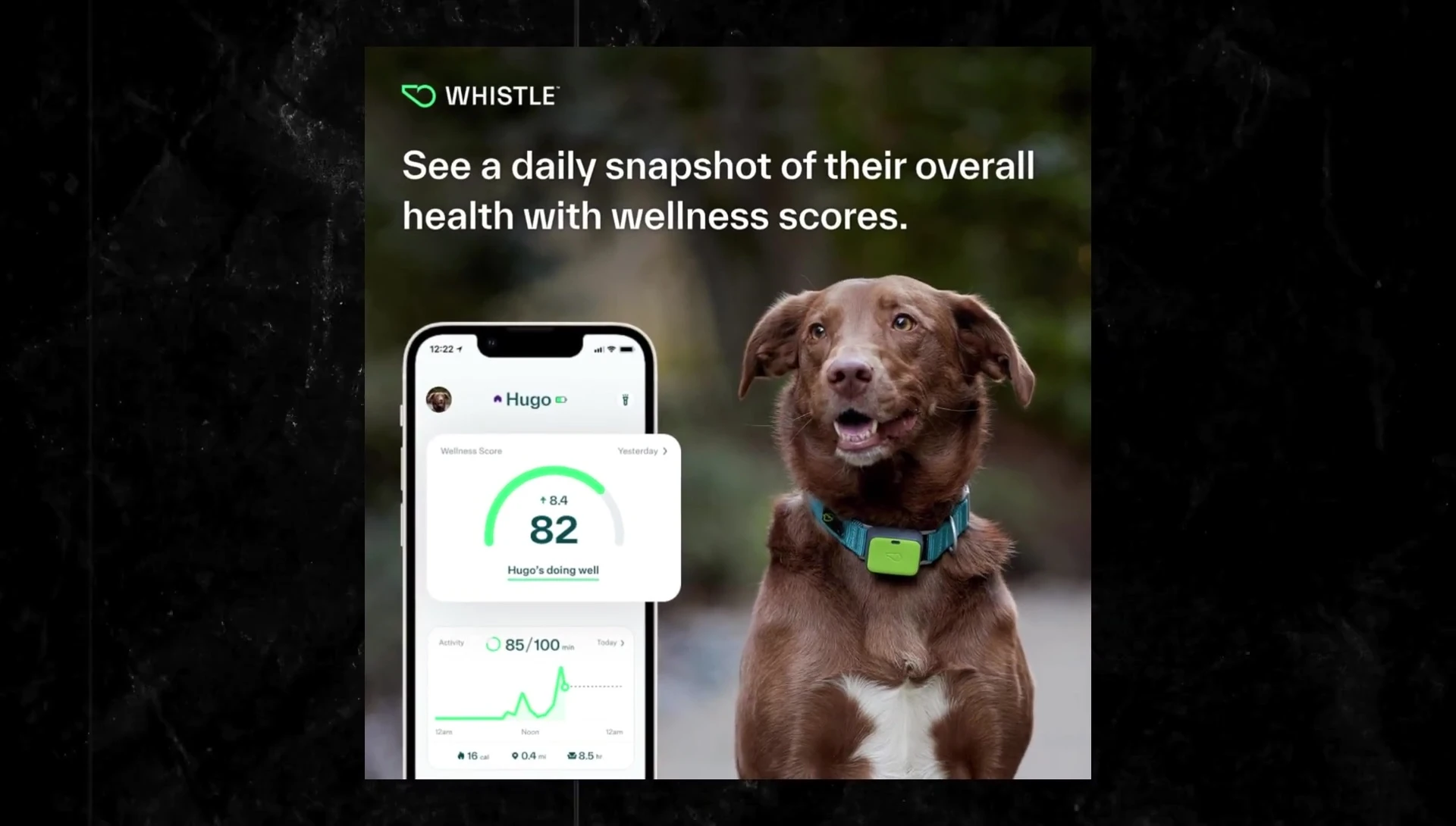 Screenshot showing the weekly wellness report