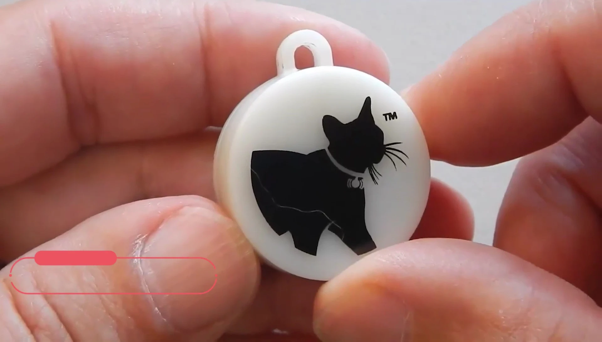 The Cat Tracker Tag