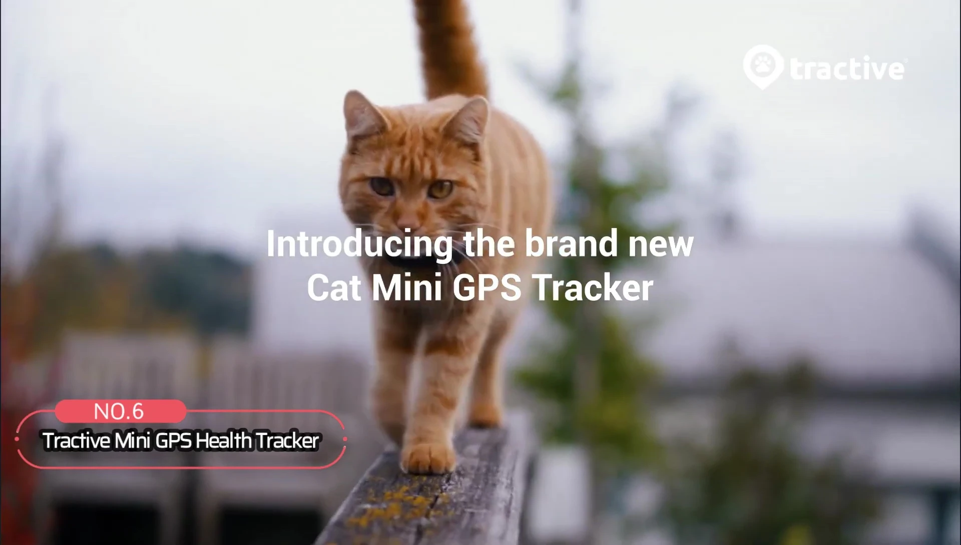 Tractive Mini GPS Health Tracker