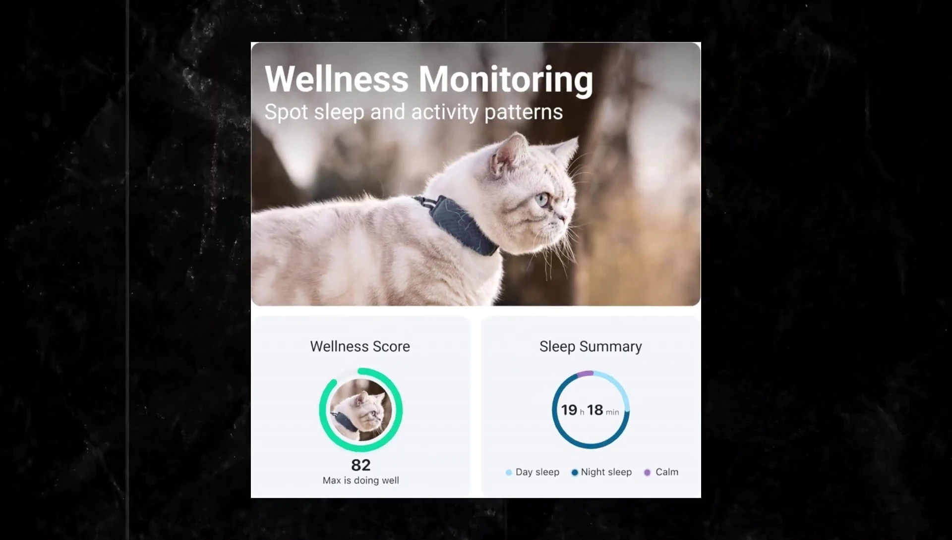 Screenshot of activity monitoring data