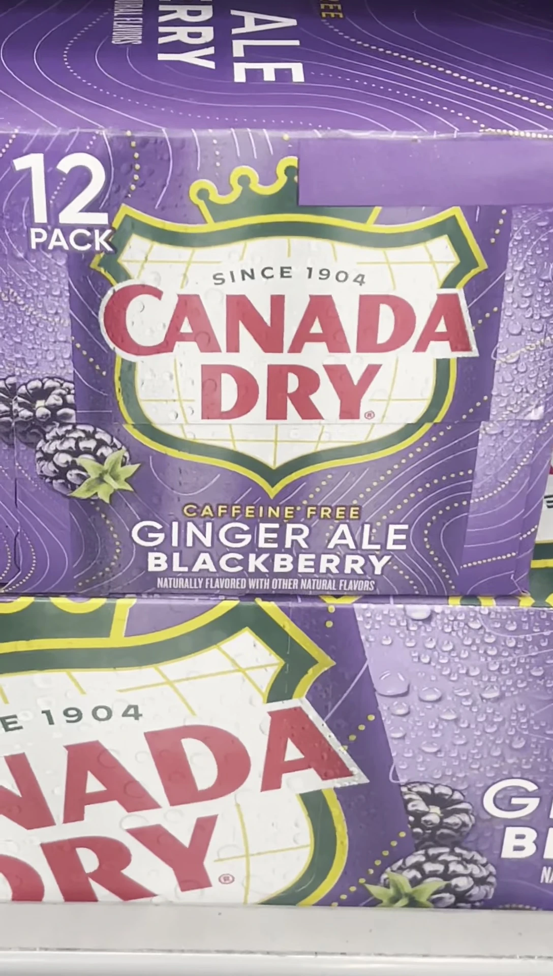 Blackberry ginger ale