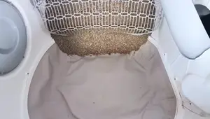 Homerun Pet Self-Cleaning Litter Box Review: Auto-Refilling &amp; Huge Capacity