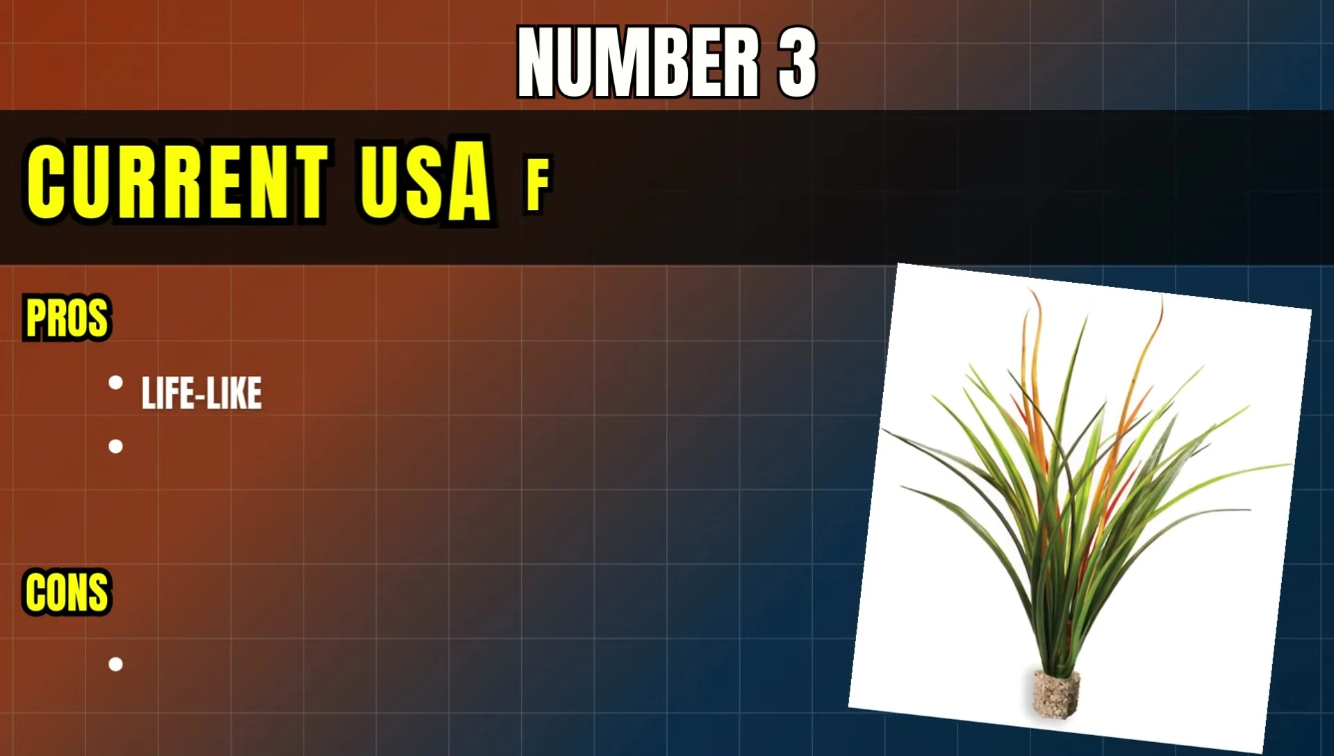 Current USA Fountain Grass in an aquarium