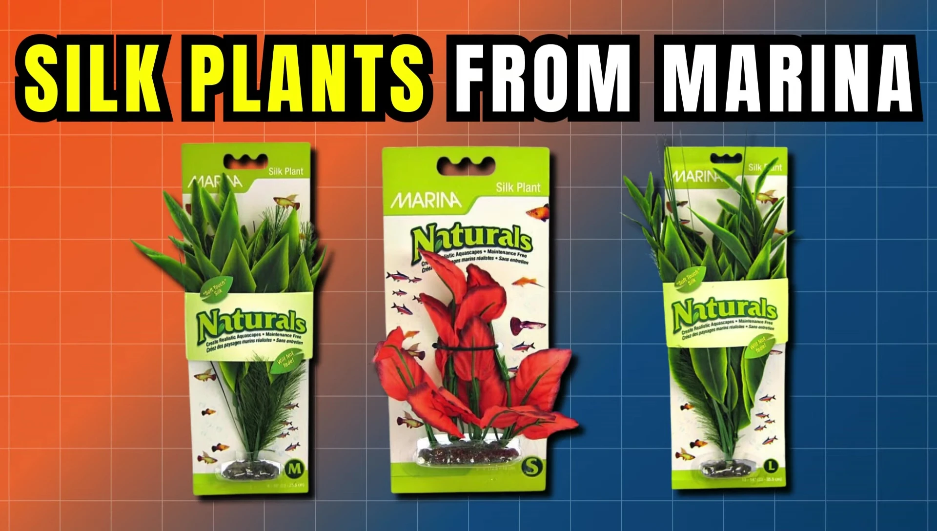 Example of Marina silk plants