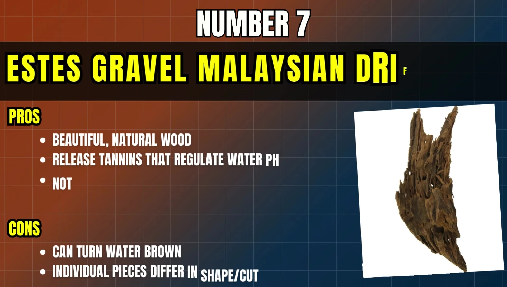 Ezus Malaysian Driftwood