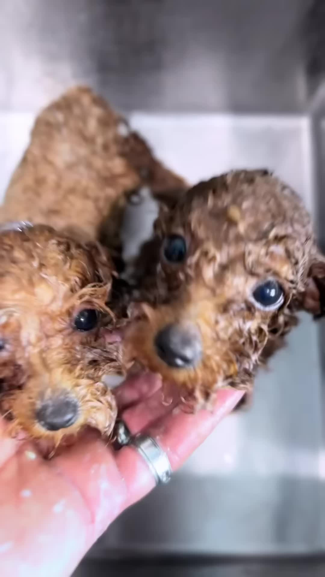 Speaker explaining the reasons for dissatisfaction with traditional dryers.