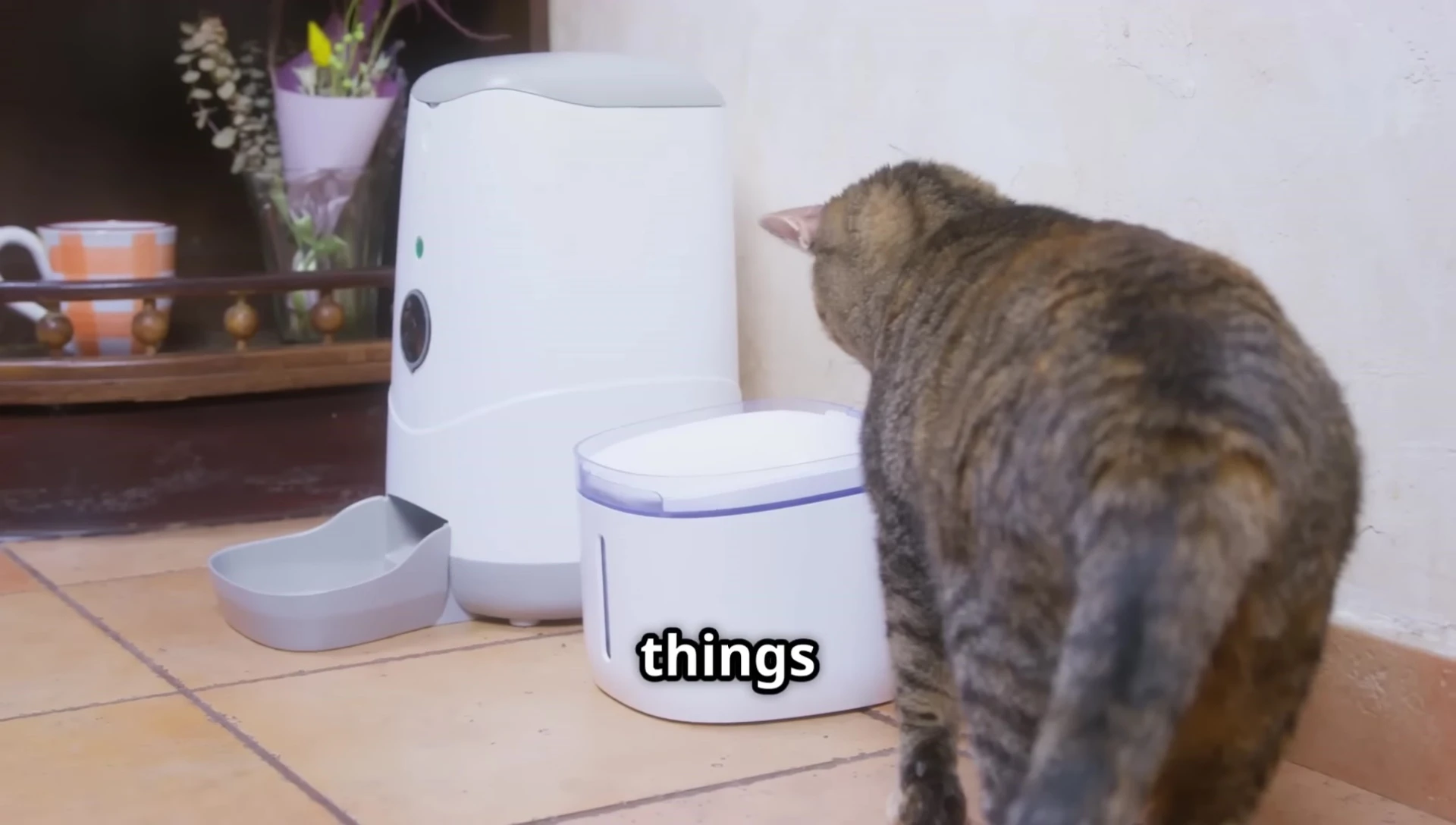 Image showcasing the Pet Pal ProMax 7000.