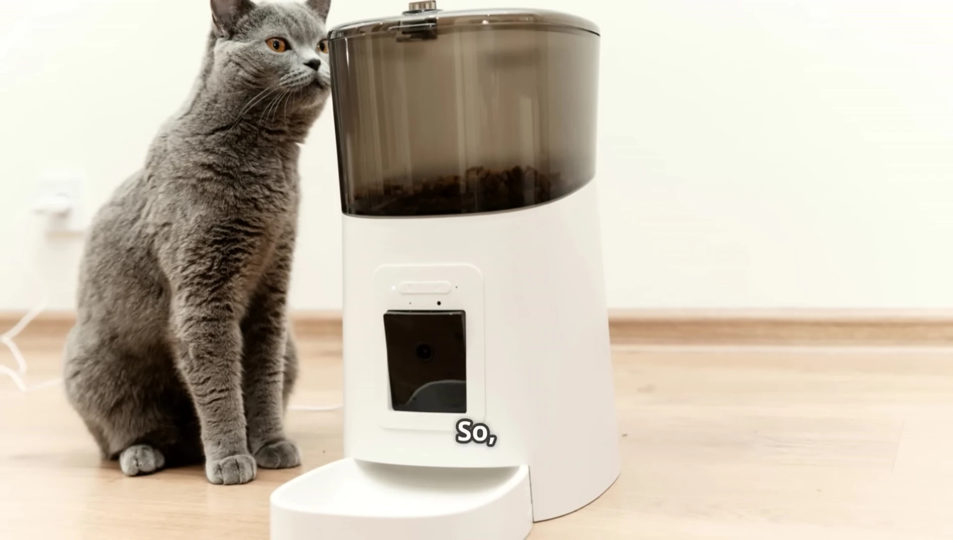 Final thoughts on the value of smart pet feeders.