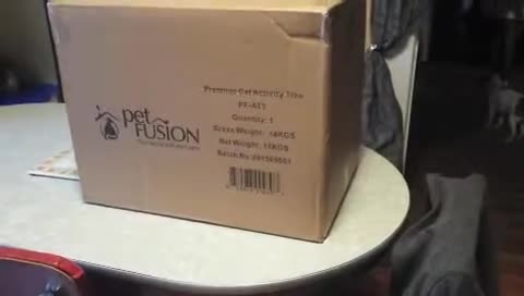 The heavy box containing the cat tree