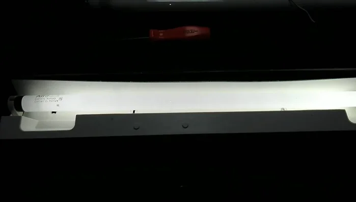 Plug in the light fixture and test.